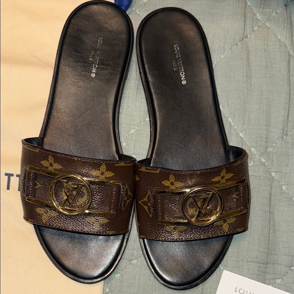 Louis Vuitton Brown and Gold Slide Sandals - Picture 3 of 6